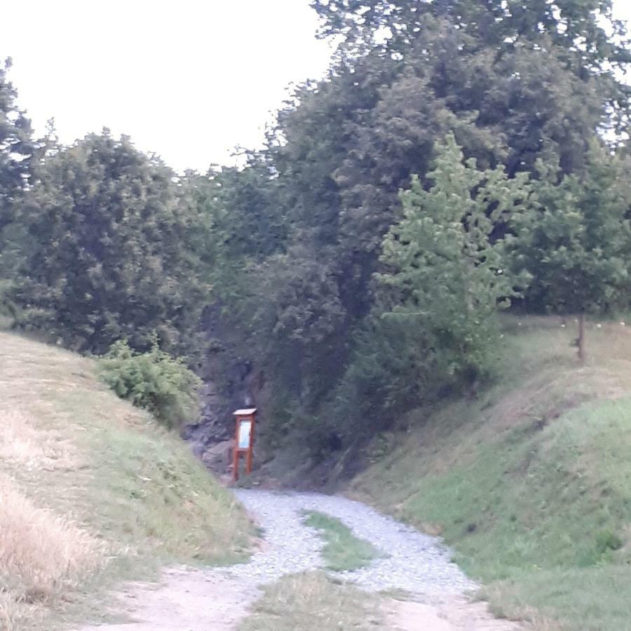 Agroturystyka "Jagap" Oaza Spokoju Dzierżoniów المظهر الخارجي الصورة