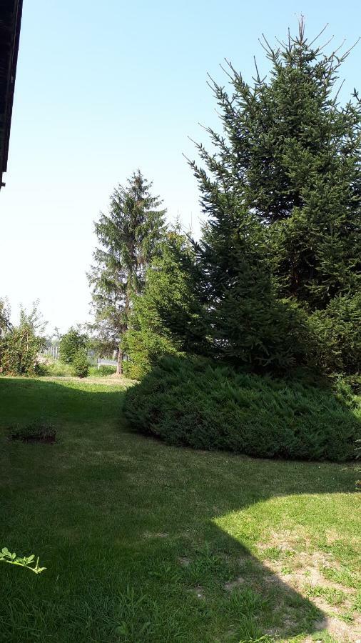 Agroturystyka "Jagap" Oaza Spokoju Dzierżoniów المظهر الخارجي الصورة