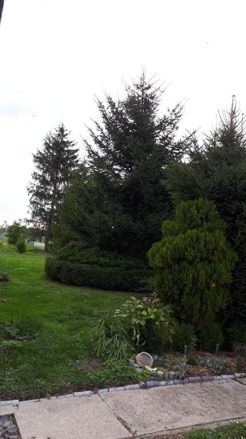 Agroturystyka "Jagap" Oaza Spokoju Dzierżoniów المظهر الخارجي الصورة
